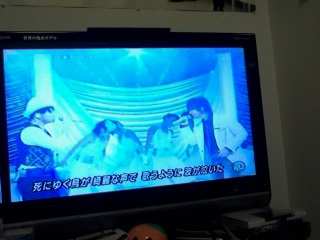 �Ȃ񂶂Ⴑ���`!?